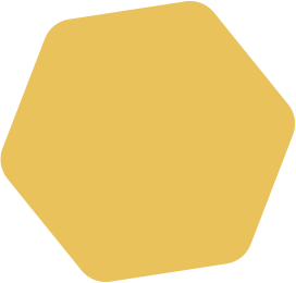 shape